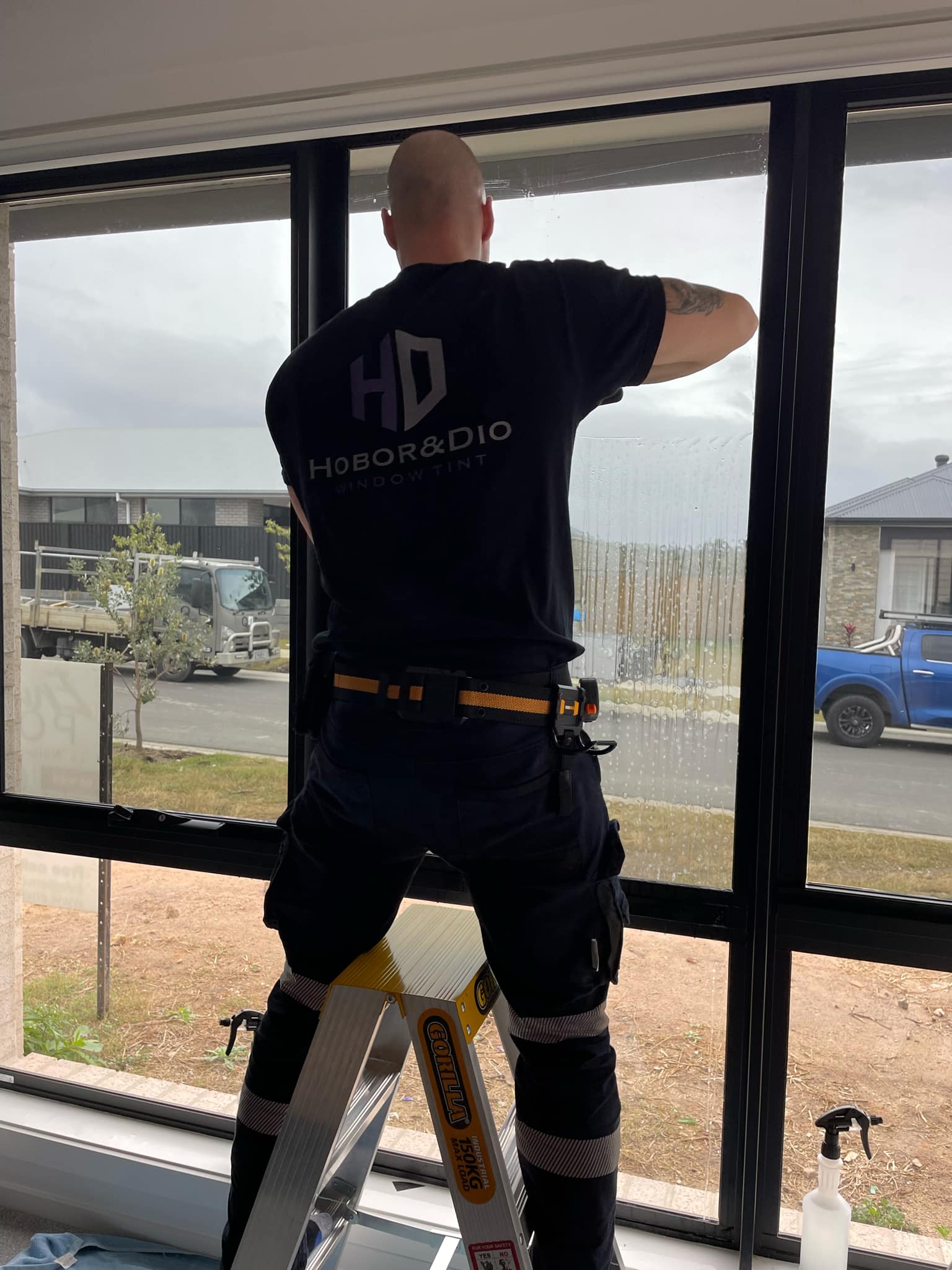 window film expert
